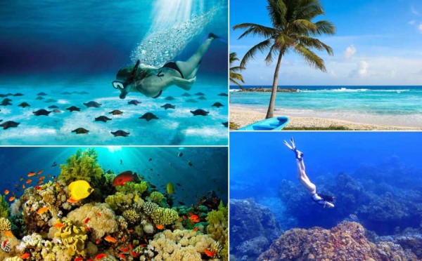 Snorkel en Cozumel: Arrecifes Palancar, Colombia y El Cielo